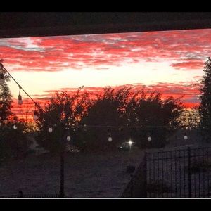 Meet your Posher, Jodi